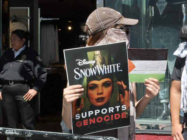 galgadot HOLLYWOOD, CALIFORNIA - MARCH 18: Pro-Palestine and pro-Israel protesters disrupt Gal Gado