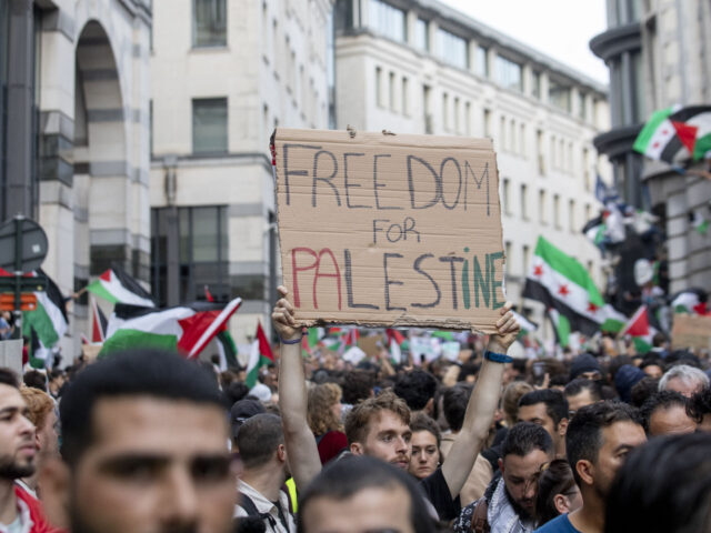 gettyimages-1719477892-1-640x480-1 Illustration picture shows a demonstration called by the Belgo-Palestinian Association and