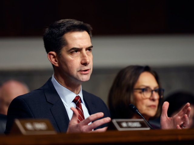 GettyImages-2193887719 WASHINGTON, DC - JANUARY 14: U.S. Sen. Tom Cotton (R-AK) questions U.S. President-elect Do