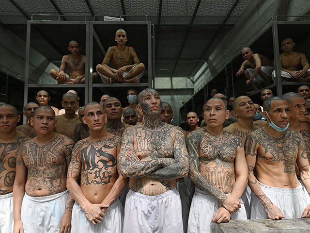 gettyimages-2195752617-640x480-1 Inmates remain in a cell at the Counter-Terrorism Confinement Centre (CECOT) mega-prison,