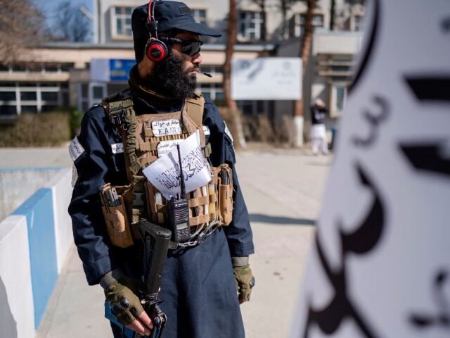 GettyImages-2205355109-2 A Taliban security personnel stands guard during the ceremony held to mark the start of ne