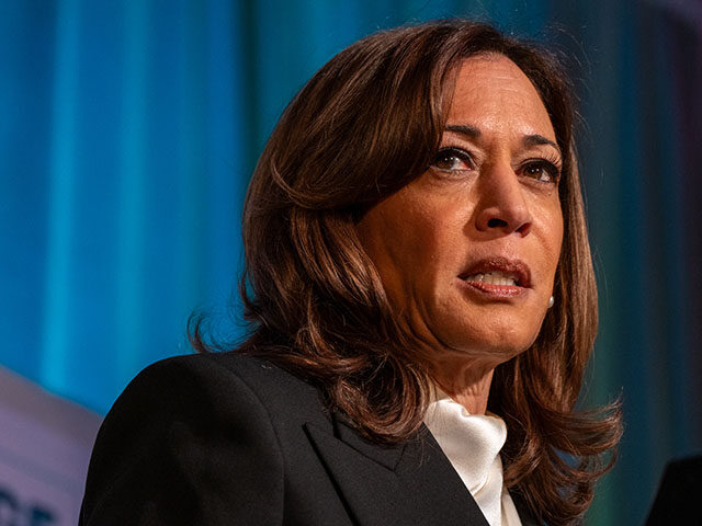 gettyimages-2212213158-640x480-1 Former US Vice President Kamala Harris speaks at the Emerge 20th Anniversary Gala in San F