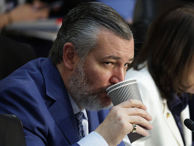 GettyImages-2214068253 _ WASHINGTON, DC - MAY 08: Sen. Ted Cruz (R-TX), chairman Senate Committee on Commerce, Scie