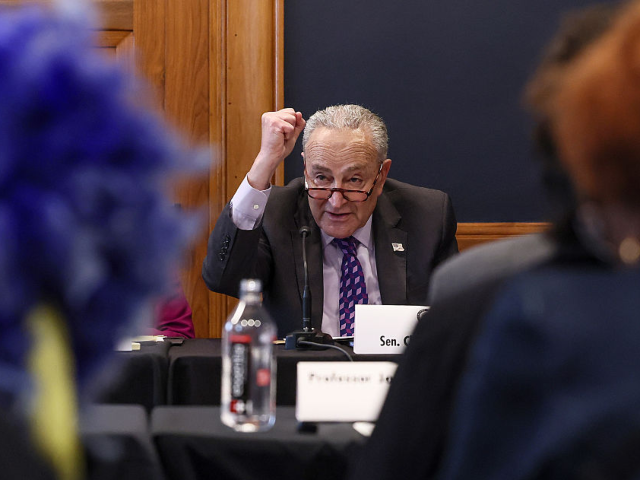 GettyImages-2215126465 WASHINGTON, DC - MAY 14: U.S. Senate Minority Leader Charles Schumer (D-NY) questions witn