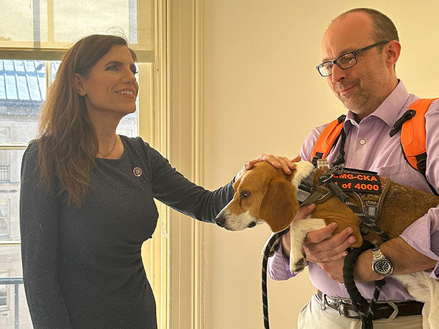 Today, we met Uno, the first beagle saved from Fauci's NIH experiments on puppies. Thanks to @WhiteCoatWaste , Uno and many others now have homes. It's time to advance animal rights laws to ensure precious pups like Uno are always pets, not lab subjects. Today, we met Uno, the first beagle saved from Fauci's NIH experiments on puppies. Thanks
