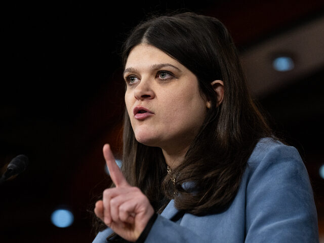 Haley Stevens Rep. Haley Stevens, D-Mich., speaks during the House Democrats' news conference to in