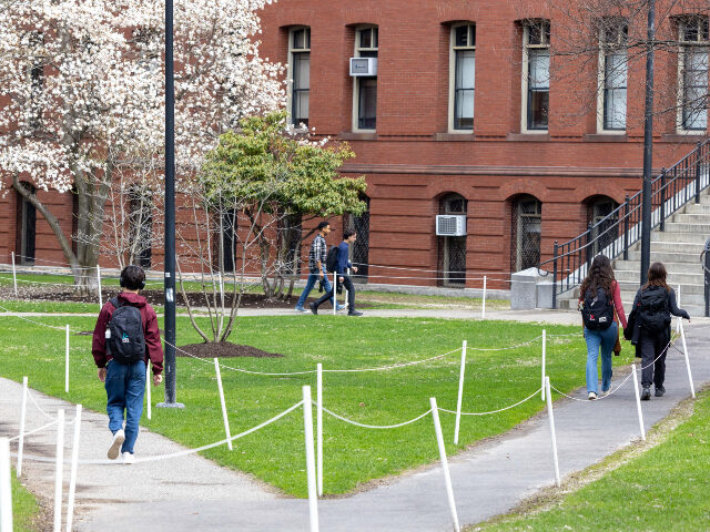 Harvard campus People walk past blooming trees on the Harvard University Campus on April 15, 2025 in Camb
