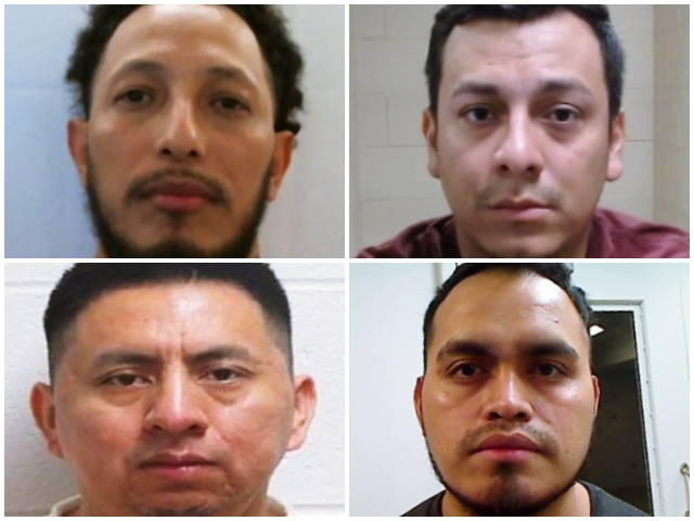 ICE-illegals-sanctuary Immigration and Customs Enforcement