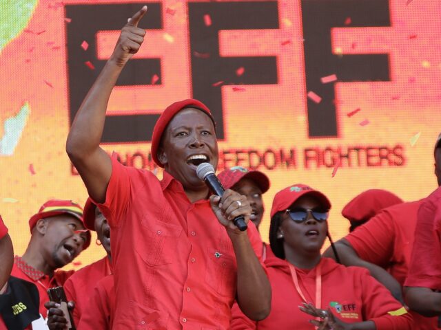 Julius Malema EFF (Themba Hadebe / Associated Press, File) FILE - Leader of the Economic Freedom Fighters (EFF) party, Julius Malema, centre, with pa