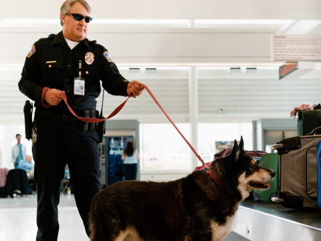 k-9-sniffing-baggage-at-airport-640x480-1 K-9 sniffing baggage at airport