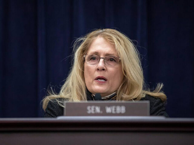 Kentucky Sen. Robin Webb, D-Grayson, speaks during a Kentucky Senate Appropriations and Re