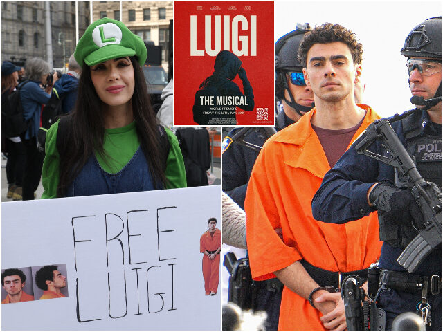 luigimusical A protestor outside Manhattan Federal Court April 25, 2025 to attend court as Luigi Mangio