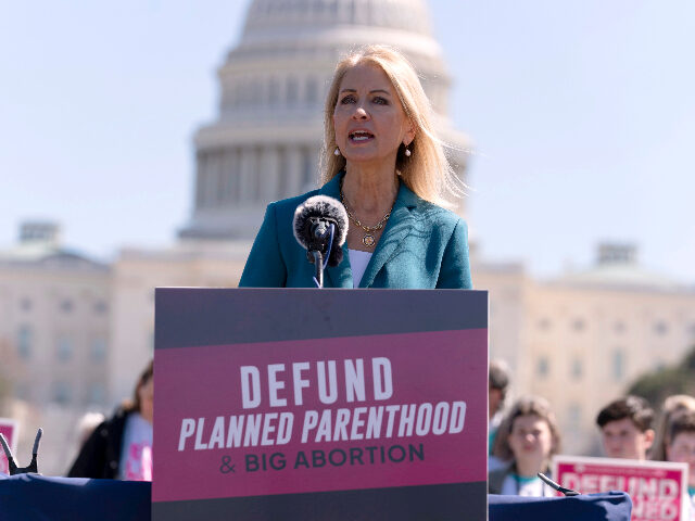 Mary Miller Rep. Mary Miller, R-Ill., speaks during an anti-abortion rally on Capitol Hill in Washingt