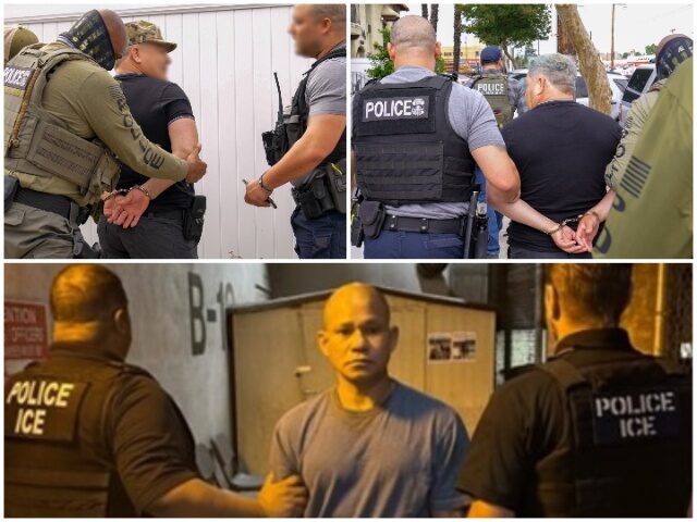 ICE Raids in Los Angeles ICE Raids in Los Angeles (Immigration and Customs Enforcement)
