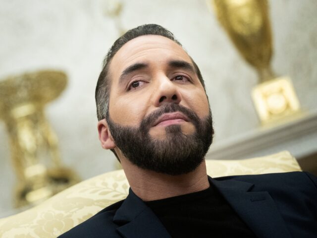 Nayib Bukele El Salvador's President Nayib Bukele meets with US President Donald Trump (not pictured) d
