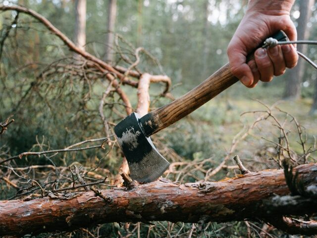 pexels-ivan-samkov-9629949 a-person-cutting-a-tree-log-using-axe