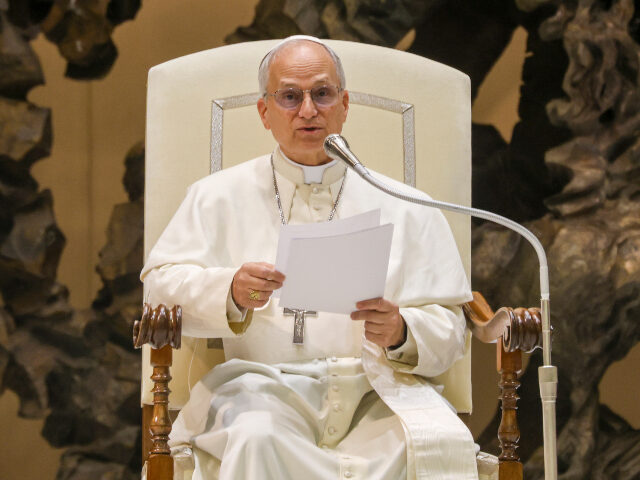 Pope Leo XIV (2) VATICAN, ITALY - 2025/05/12: Pope Leo XIV conducting a special audience with thousands of