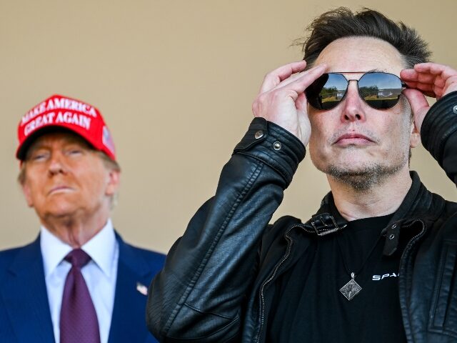BROWNSVILLE, TEXAS - NOVEMBER 19: U.S. President-elect Donald Trump and Elon Musk watch th