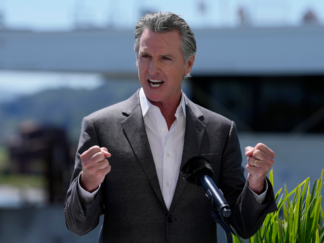 AP24107800455882 California Gov. Gavin Newsom speaks during an announcement on a new climate partnership be