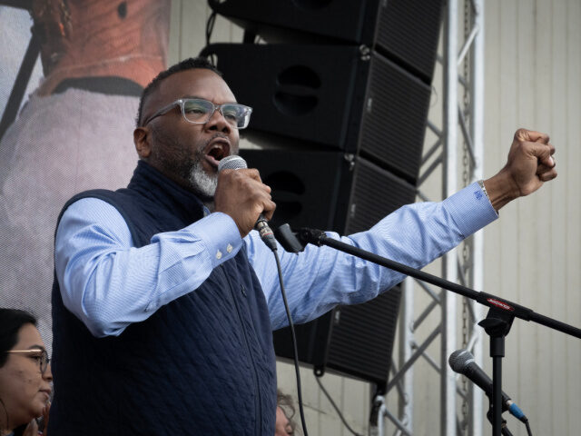 Brandon Johnson Chicago Mayor Brandon Johnson speaks to demonstrators in Grant Park who were protesting th