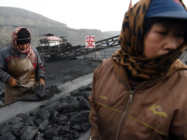 TOPSHOT - In this photo taken on November 20, 2015, workers sort coal on a conveyer belt,