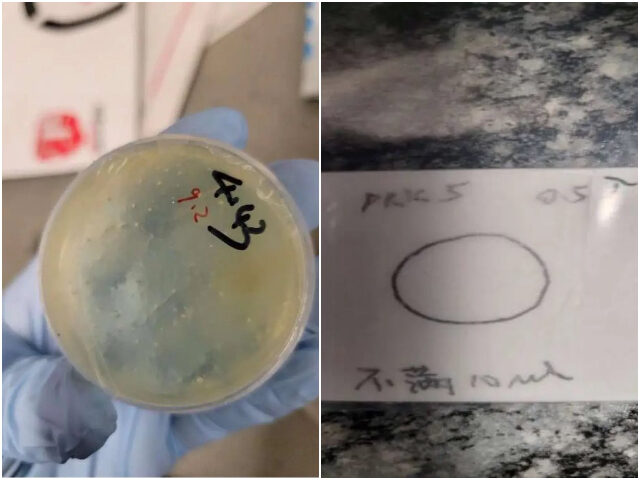 chinese-alien-charged-smuggling-biological-materials-640x480-1 Chinese alien charged smuggling biological materials