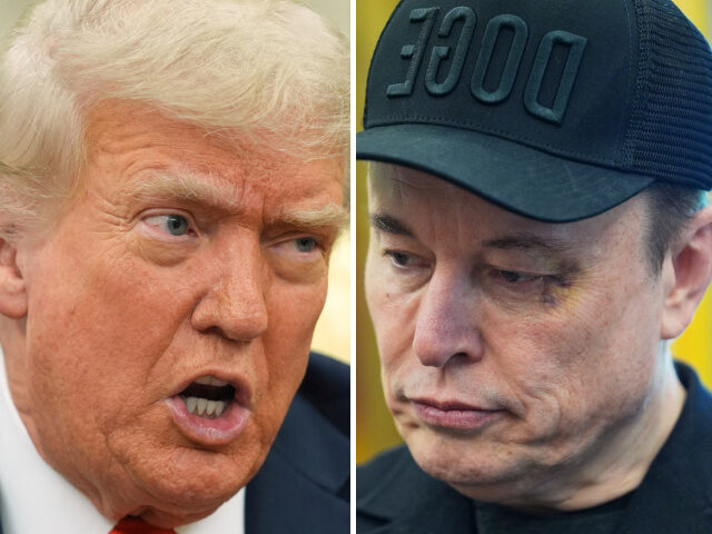 Donald Trump Berates Elon Musk President Donald Trump speaks during a meeting with Germany's Chancellor Friedrich Me