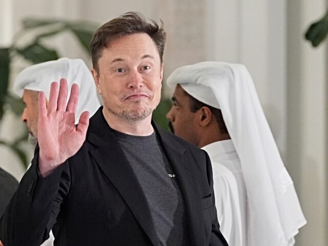 elon musk waves downloaded june 6, 2025