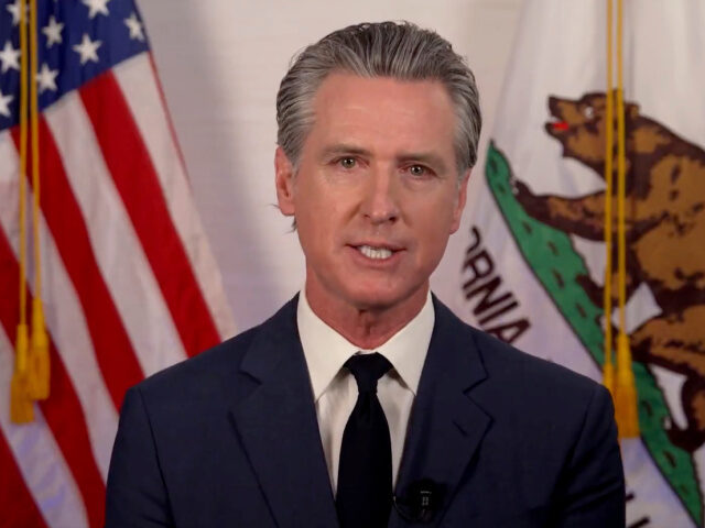 Gavin Newsom flag and Ca. bear Uploaded 6/17/25