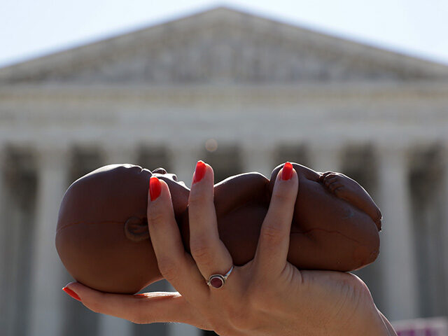 gettyimages-1253282286-640x480-1 A pro-life activist holds a model fetus during a demonstration in front of the U.S. Suprem