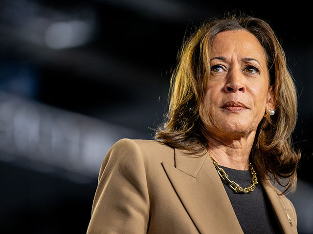 gettyimages-2177890992-640x480-1 Democratic presidential nominee, Vice President Kamala Harris pauses while speaking during