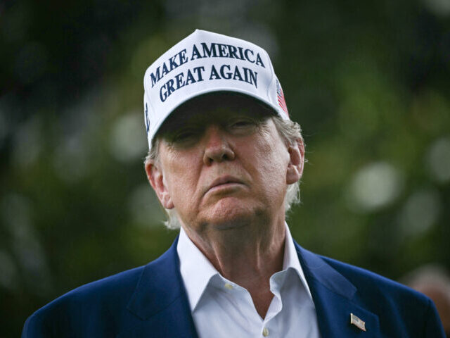 TOPSHOT-US-POLITICS-TRUMP TOPSHOT - US President Donald Trump speaks to the press as workers install a large flag po