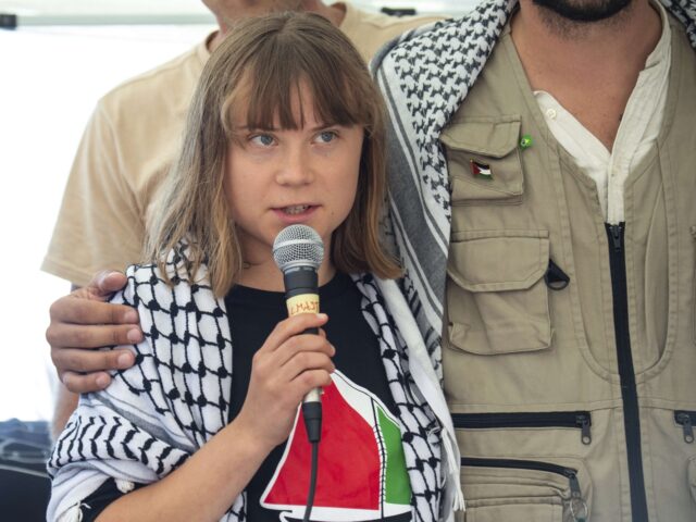 Climate activist Greta Thunberg with other activists from a human rights organization meet