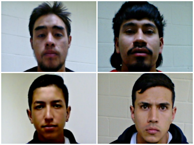 ice-3-640x480-1 Department of Homeland Security