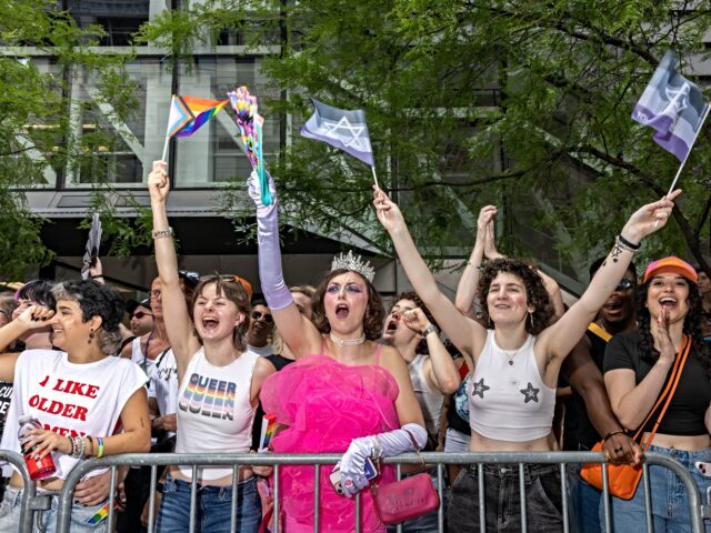 ny pride parade NEW YORK, NY - JUNE 30: New Yorkers celebrate during the annual Pride March into the West
