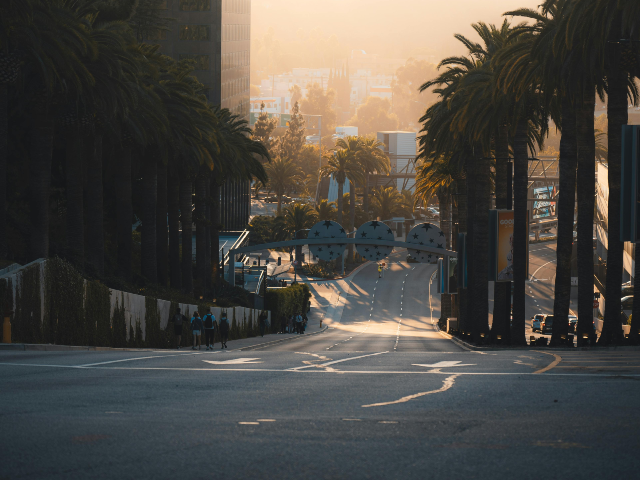 pexels-willianjusten-19200964 Palms by the Street in a City