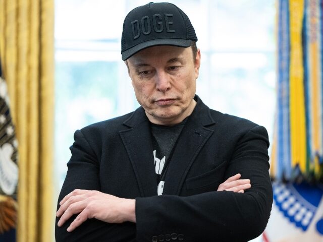 Elon Musk in his DOGE hat
