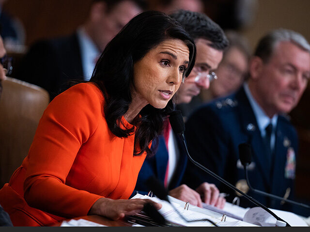 gettyimages2206490738-640x480-1 Tulsi Gabbard, director of National Intelligence, FBI Director Kash Patel, left, CIA Direc