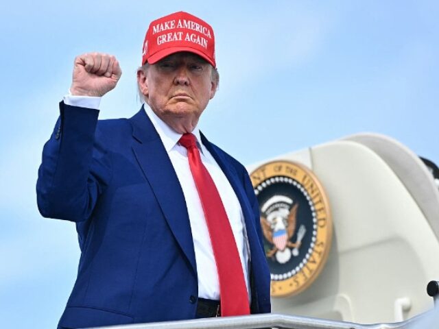 MANDEL NGAN_AFP via Getty Images (3) US President Donald Trump pumps his fist as he boards Air Force One at Morristown Municipa