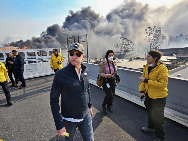 Newsom fires (Jeff Gritchen/MediaNews Group/Orange County Register via Getty) PCIFIC PALISADES, CA - January 08: California Governor Gavin Newsom surveys damage in duri
