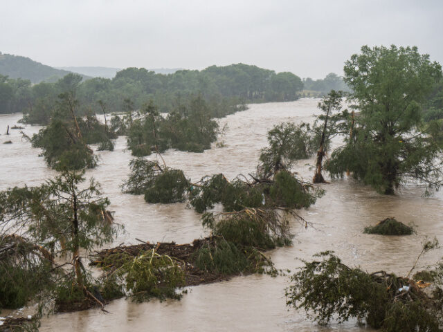 Texas Flooding Trees emerge from flood waters along the Guadalupe River on July 4, 2025 in Kerrville, Tex