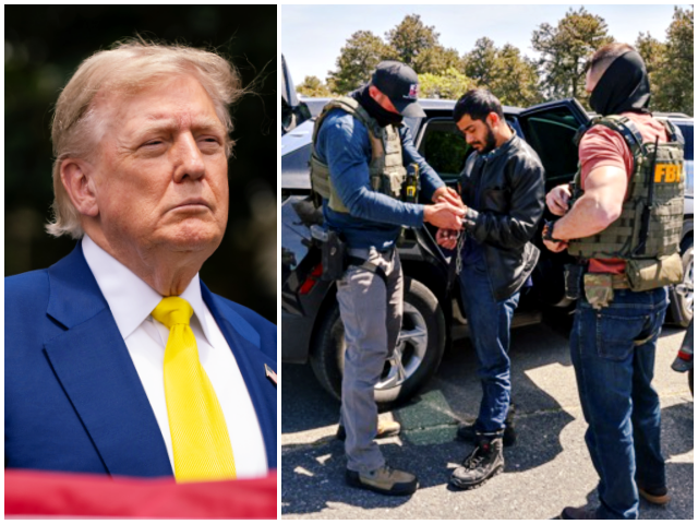 Trump:ICE White House/Andrea Hanks/ICE